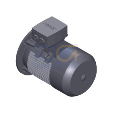 SIMOTICS SD MOTOR TYPE: 1CV2130B Low-voltage motor, IEC Squirrel-cage rotor, self-ventilated, IP55 T