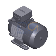 SIMOTICS SD MOTOR TYPE: 1CV2132B Low-voltage motor, IEC Squirrel-cage rotor, self-ventilated, IP55 T