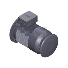 SIMOTICS SD MOTOR TYPE: 1CV2130C Low-voltage motor, IEC Squirrel-cage rotor, self-ventilated, IP55 T