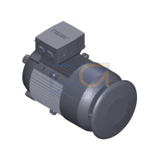 SIMOTICS SD MOTOR TYPE: 1CV2130D Low-voltage motor, IEC Squirrel-cage rotor, self-ventilated, IP55 T
