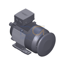 SIMOTICS SD MOTOR TYPE: 1CV2132D Low-voltage motor, IEC Squirrel-cage rotor, self-ventilated, IP55 T