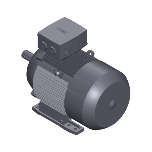 SIMOTICS SD MOTOR TYPE: 1CV2163A Low-voltage motor, IEC Squirrel-cage rotor, self-ventilated, IP55 T