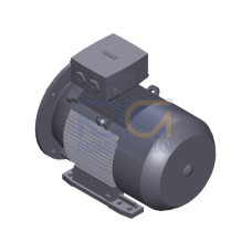 SIMOTICS SD MOTOR TYPE: 1CV2162B Low-voltage motor, IEC Squirrel-cage rotor, self-ventilated, IP55 T