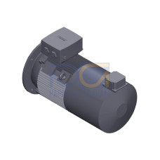 SIMOTICS SD MOTOR TYPE: 1CV2164B Low-voltage motor, IEC Squirrel-cage rotor, self-ventilated, IP55 T