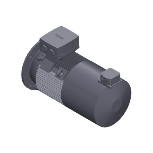 SIMOTICS SD MOTOR TYPE: 1CV2164B Low-voltage motor, IEC Squirrel-cage rotor, self-ventilated, IP55 T