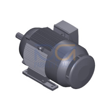SIMOTICS SD MOTOR TYPE: 1CV2164C Low-voltage motor, IEC Squirrel-cage rotor, self-ventilated, IP55 T