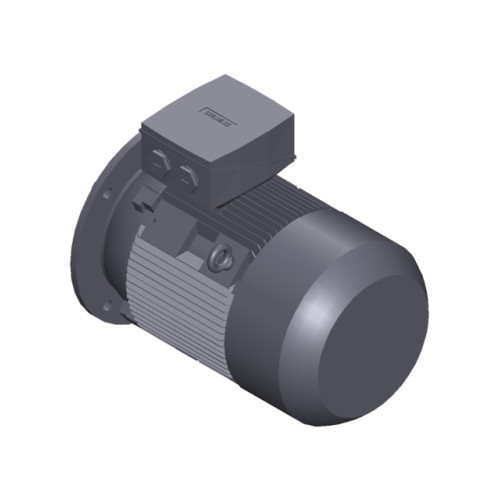 SIMOTICS SD MOTOR TYPE: 1CV2164D Low-voltage motor, IEC Squirrel-cage rotor, self-ventilated, IP55 T