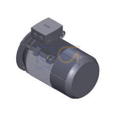 SIMOTICS SD MOTOR TYPE: 1CV2182A Low-voltage motor, IEC Squirrel-cage rotor, self-ventilated, IP55 T