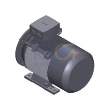 SIMOTICS SD MOTOR TYPE: 1CV2182A Low-voltage motor, IEC Squirrel-cage rotor, self-ventilated, IP55 T