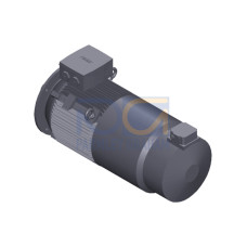 SIMOTICS SD MOTOR TYPE: 1CV2182B Low-voltage motor, IEC Squirrel-cage rotor, self-ventilated, IP55 T