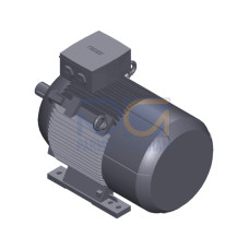 SIMOTICS SD MOTOR TYPE: 1CV2182B Low-voltage motor, IEC Squirrel-cage rotor, self-ventilated, IP55 T