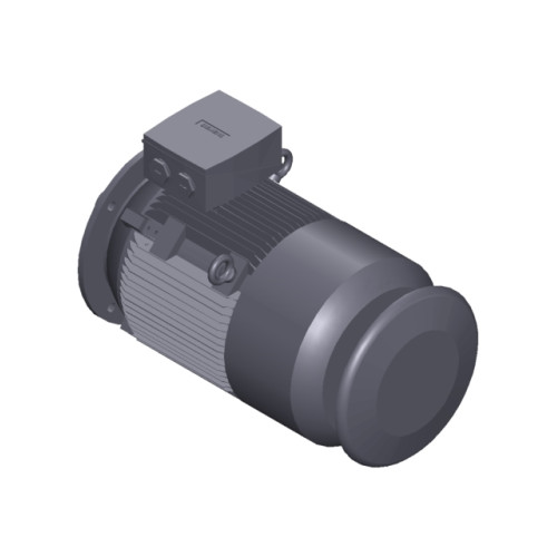 SIMOTICS SD MOTOR TYPE: 1CV2182B Low-voltage motor, IEC Squirrel-cage rotor, self-ventilated, IP55 T