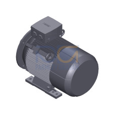 SIMOTICS SD MOTOR TYPE: 1CV2182B Low-voltage motor, IEC Squirrel-cage rotor, self-ventilated, IP55 T