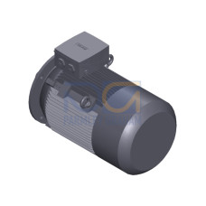 SIMOTICS SD MOTOR TYPE: 1CV2184B Low-voltage motor, IEC Squirrel-cage rotor, self-ventilated, IP55 T