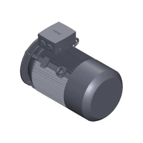 SIMOTICS SD MOTOR TYPE: 1CV2184B Low-voltage motor, IEC Squirrel-cage rotor, self-ventilated, IP55 T