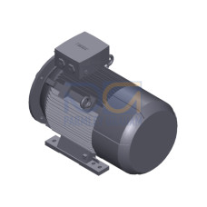SIMOTICS SD MOTOR TYPE: 1CV2184B Low-voltage motor, IEC Squirrel-cage rotor, self-ventilated, IP55 T