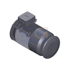 SIMOTICS SD MOTOR TYPE: 1CV2184C Low-voltage motor, IEC Squirrel-cage rotor, self-ventilated, IP55 T