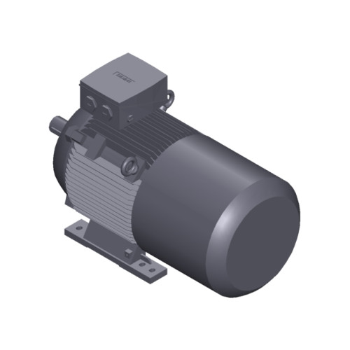 SIMOTICS SD MOTOR TYPE: 1CV2184D Low-voltage motor, IEC Squirrel-cage rotor, self-ventilated, IP55 T