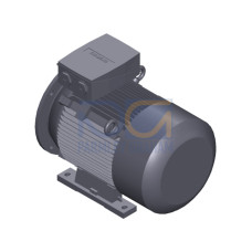 SIMOTICS SD MOTOR TYPE: 1CV2205A Low-voltage motor, IEC Squirrel-cage rotor, self-ventilated, IP55 T