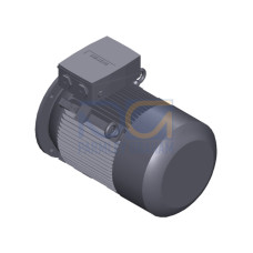 SIMOTICS SD MOTOR TYPE: 1CV2205B Low-voltage motor, IEC Squirrel-cage rotor, self-ventilated, IP55 T