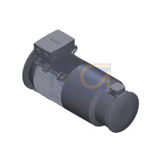 SIMOTICS SD MOTOR TYPE: 1CV2205B Low-voltage motor, IEC Squirrel-cage rotor, self-ventilated, IP55 T