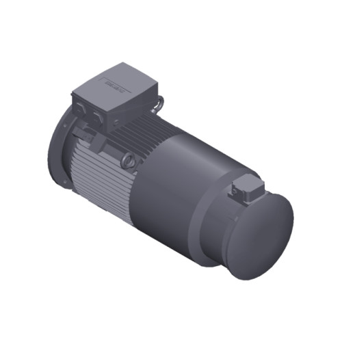 SIMOTICS SD MOTOR TYPE: 1CV2205B Low-voltage motor, IEC Squirrel-cage rotor, self-ventilated, IP55 T