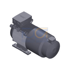 SIMOTICS SD MOTOR TYPE: 1CV2205C Low-voltage motor, IEC Squirrel-cage rotor, self-ventilated, IP55 T