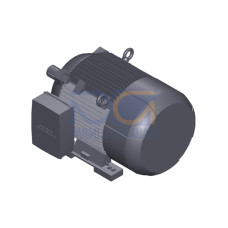 SIMOTICS SD MOTOR TYPE: 1CV2220B Low-voltage motor, IEC Squirrel-cage rotor, self-ventilated, IP55 T