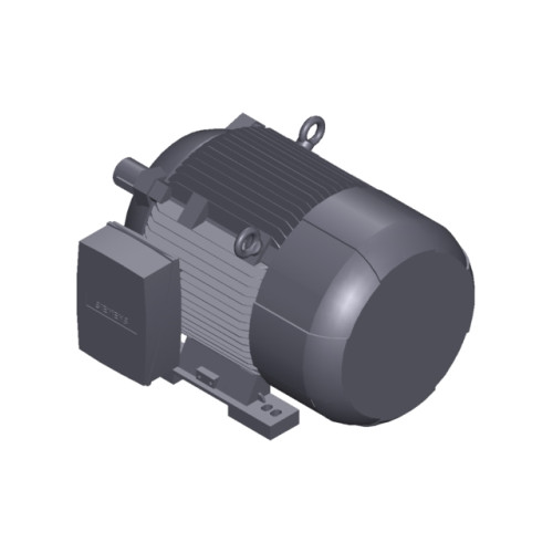 SIMOTICS SD MOTOR TYPE: 1CV2220B Low-voltage motor, IEC Squirrel-cage rotor, self-ventilated, IP55 T