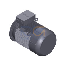 SIMOTICS SD MOTOR TYPE: 1CV2220B Low-voltage motor, IEC Squirrel-cage rotor, self-ventilated, IP55 T