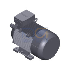 SIMOTICS SD MOTOR TYPE: 1CV2222B Low-voltage motor, IEC Squirrel-cage rotor, self-ventilated, IP55 T