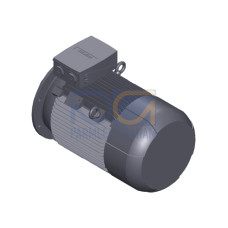 SIMOTICS SD MOTOR TYPE: 1CV2222B Low-voltage motor, IEC Squirrel-cage rotor, self-ventilated, IP55 T