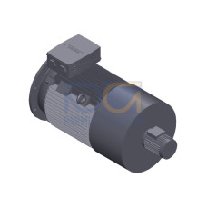 SIMOTICS SD MOTOR TYPE: 1CV2222B Low-voltage motor, IEC Squirrel-cage rotor, self-ventilated, IP55 T