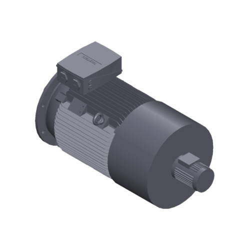 SIMOTICS SD MOTOR TYPE: 1CV2222B Low-voltage motor, IEC Squirrel-cage rotor, self-ventilated, IP55 T