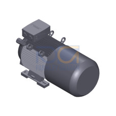 SIMOTICS SD MOTOR TYPE: 1CV2226B Low-voltage motor, IEC Squirrel-cage rotor, self-ventilated, IP55 T