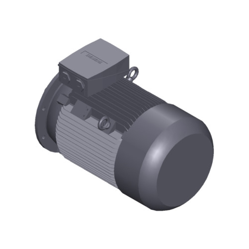 SIMOTICS SD MOTOR TYPE: 1CV2222C Low-voltage motor, IEC Squirrel-cage rotor, self-ventilated, IP55 T