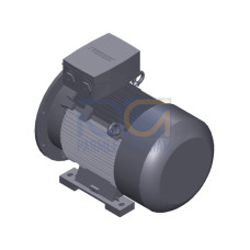 SIMOTICS SD MOTOR TYPE: 1CV2252A Low-voltage motor, IEC Squirrel-cage rotor, self-ventilated, IP55 T