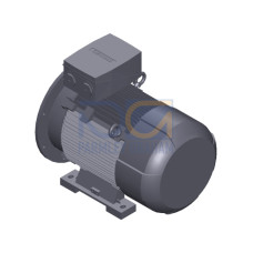 SIMOTICS SD MOTOR TYPE: 1CV2252A Low-voltage motor, IEC Squirrel-cage rotor, self-ventilated, IP55 T