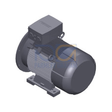 SIMOTICS SD MOTOR TYPE: 1CV2252A Low-voltage motor, IEC Squirrel-cage rotor, self-ventilated, IP55 T