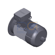 SIMOTICS SD MOTOR TYPE: 1CV2252B Low-voltage motor, IEC Squirrel-cage rotor, self-ventilated, IP55 T