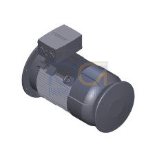 SIMOTICS SD MOTOR TYPE: 1CV2252B Low-voltage motor, IEC Squirrel-cage rotor, self-ventilated, IP55 T