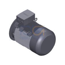 SIMOTICS SD MOTOR TYPE: 1CV2280B Low-voltage motor, IEC Squirrel-cage rotor, self-ventilated, IP55 T