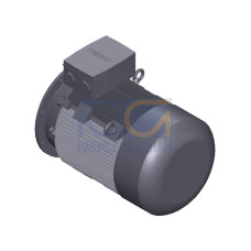 SIMOTICS SD MOTOR TYPE: 1CV2282C Low-voltage motor, IEC Squirrel-cage rotor, self-ventilated, IP55 T