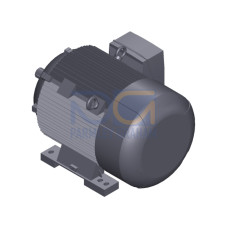 SIMOTICS SD MOTOR TYPE: 1CV2310A low-voltage motor, IEC Squirrel-cage rotor, self-ventilated, IP55 T