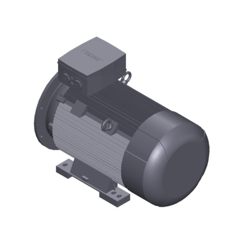 SIMOTICS SD MOTOR TYPE: 1CV2312A Low-voltage motor, IEC Squirrel-cage rotor, self-ventilated, IP55 T