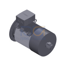 SIMOTICS SD MOTOR TYPE: 1CV2310B Low-voltage motor, IEC Squirrel-cage rotor, self-ventilated, IP55 T