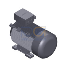 SIMOTICS SD MOTOR TYPE: 1CV2314B Low-voltage motor, IEC Squirrel-cage rotor, self-ventilated, IP55 T