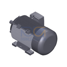 SIMOTICS SD MOTOR TYPE: 1CV2314C Low-voltage motor, IEC Squirrel-cage rotor, self-ventilated, IP55 T