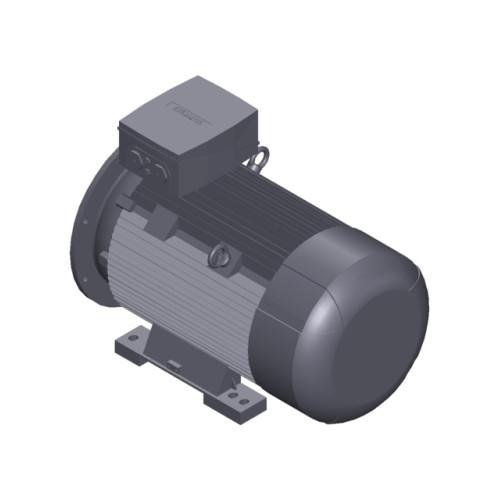 SIMOTICS SD MOTOR TYPE: 1CV2315D Low-voltage motor, IEC Squirrel-cage rotor, self-ventilated, IP55 T