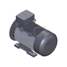 SIMOTICS SD MOTOR TYPE: 1CV2316D Low-voltage motor, IEC Squirrel-cage rotor, self-ventilated, IP55 T